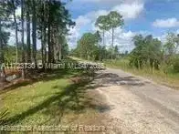 881 Papaya Street, Lake Placid FL 33852 photo 4