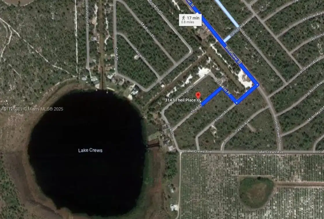 3147 Theil Place, Lake Placid FL 33852 photo 2