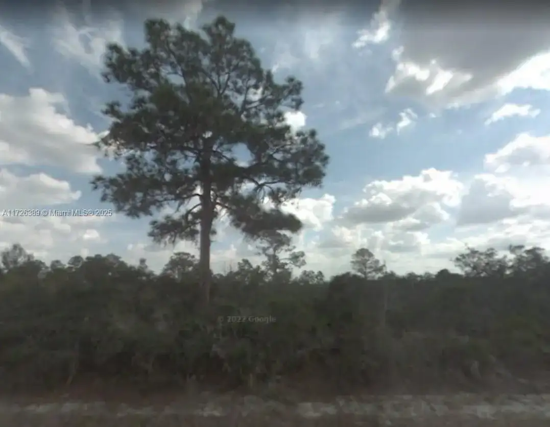 3147 Theil Place, Lake Placid FL 33852 photo 3