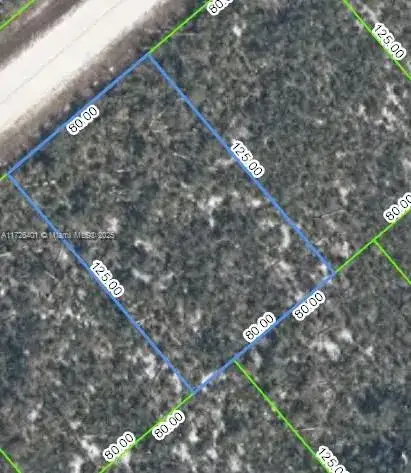 3154 Oregon Place, Lake Placid FL 33852 photo 4