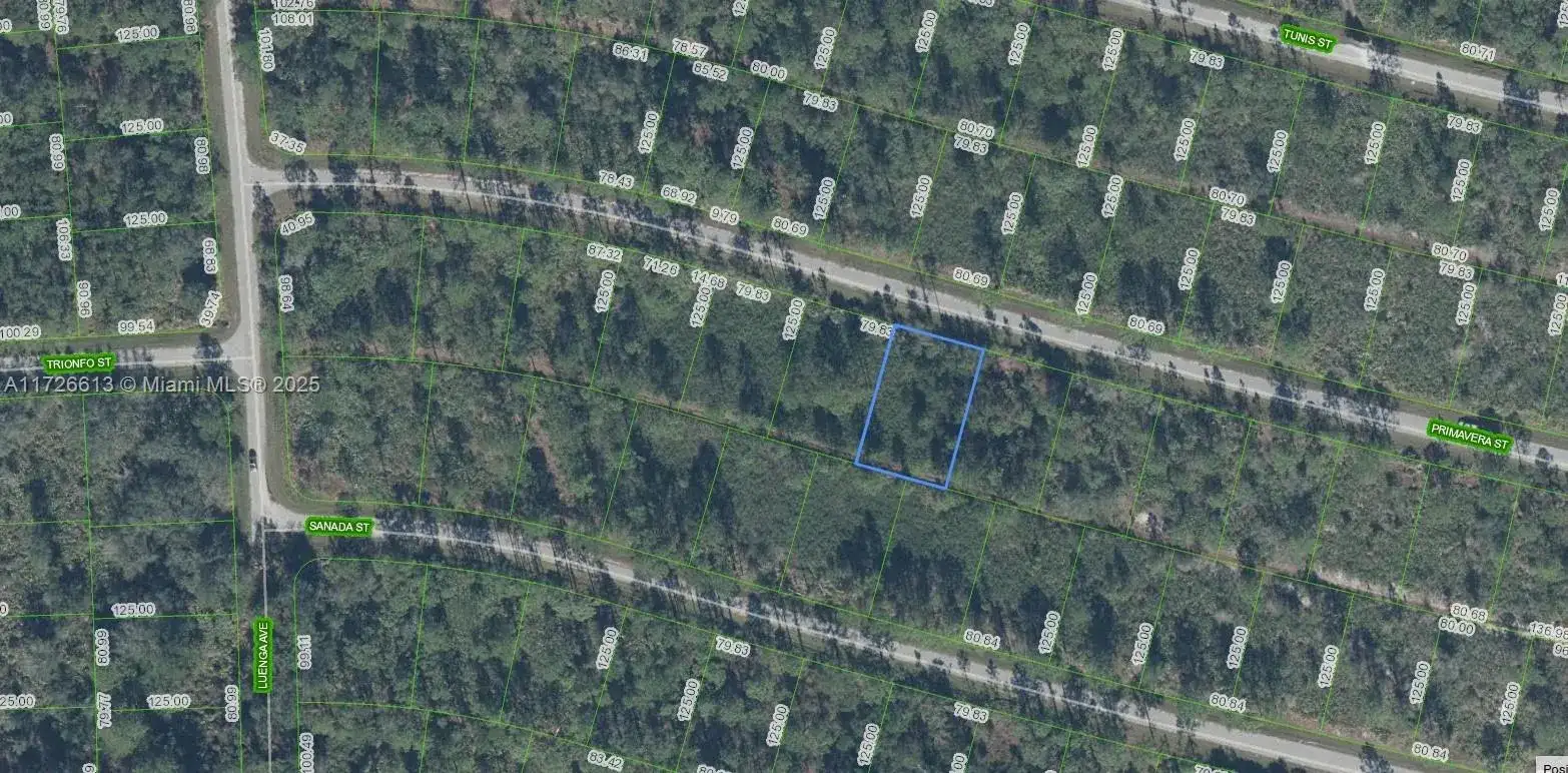 8637 Primavera Street, Sebring FL 33872 photo 2