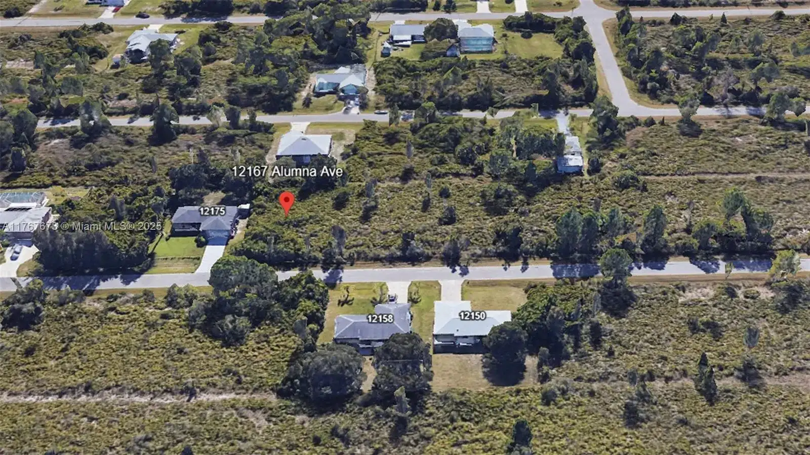 12167 Alumna Ave, Port Charlotte FL 33981 photo 3