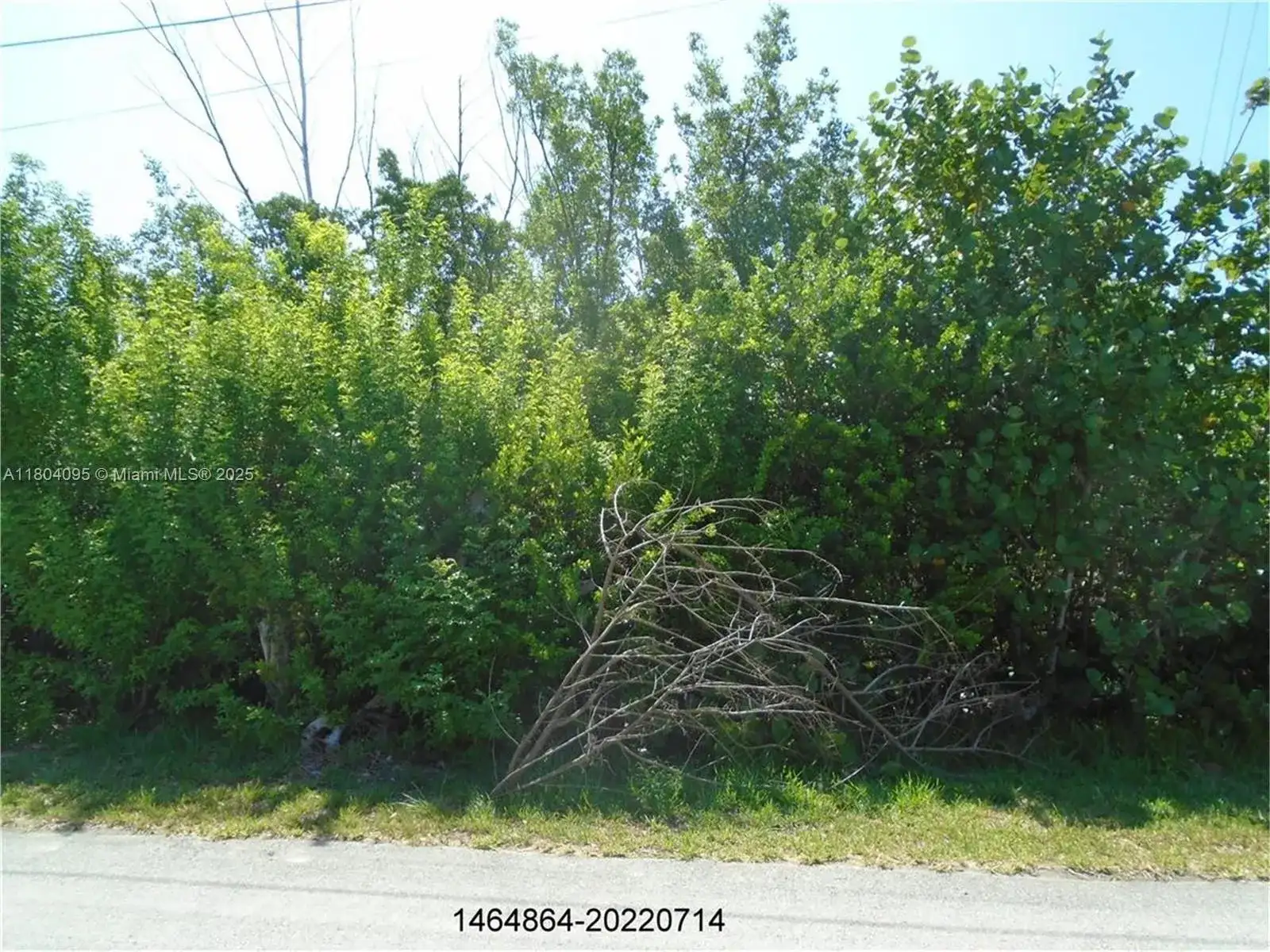 113 Jamaica St, Duck FL 33050 photo 4