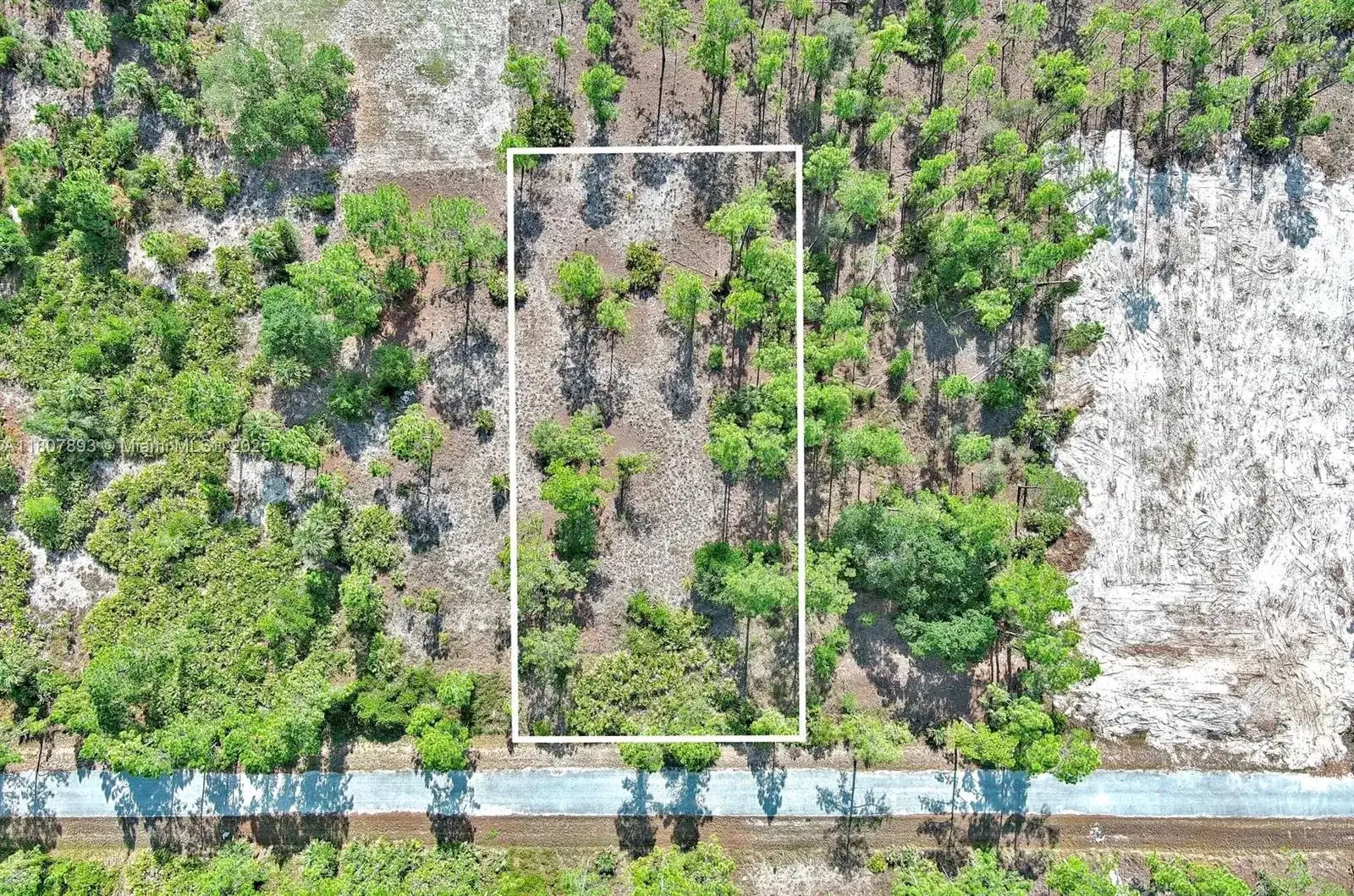 317 Fitch Ave, Lehigh Acres FL 33936 photo 2