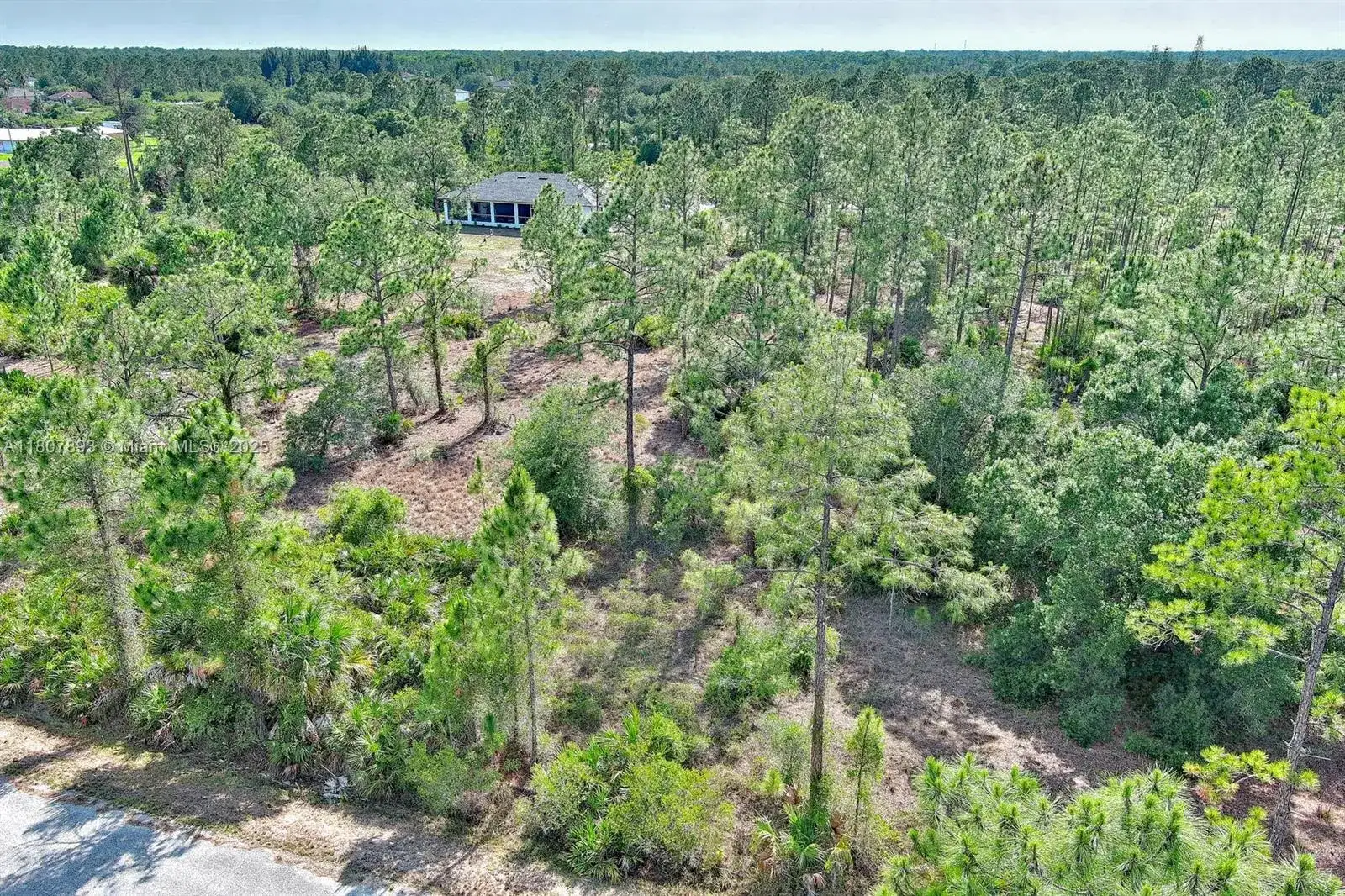 317 Fitch Ave, Lehigh Acres FL 33936 photo 5
