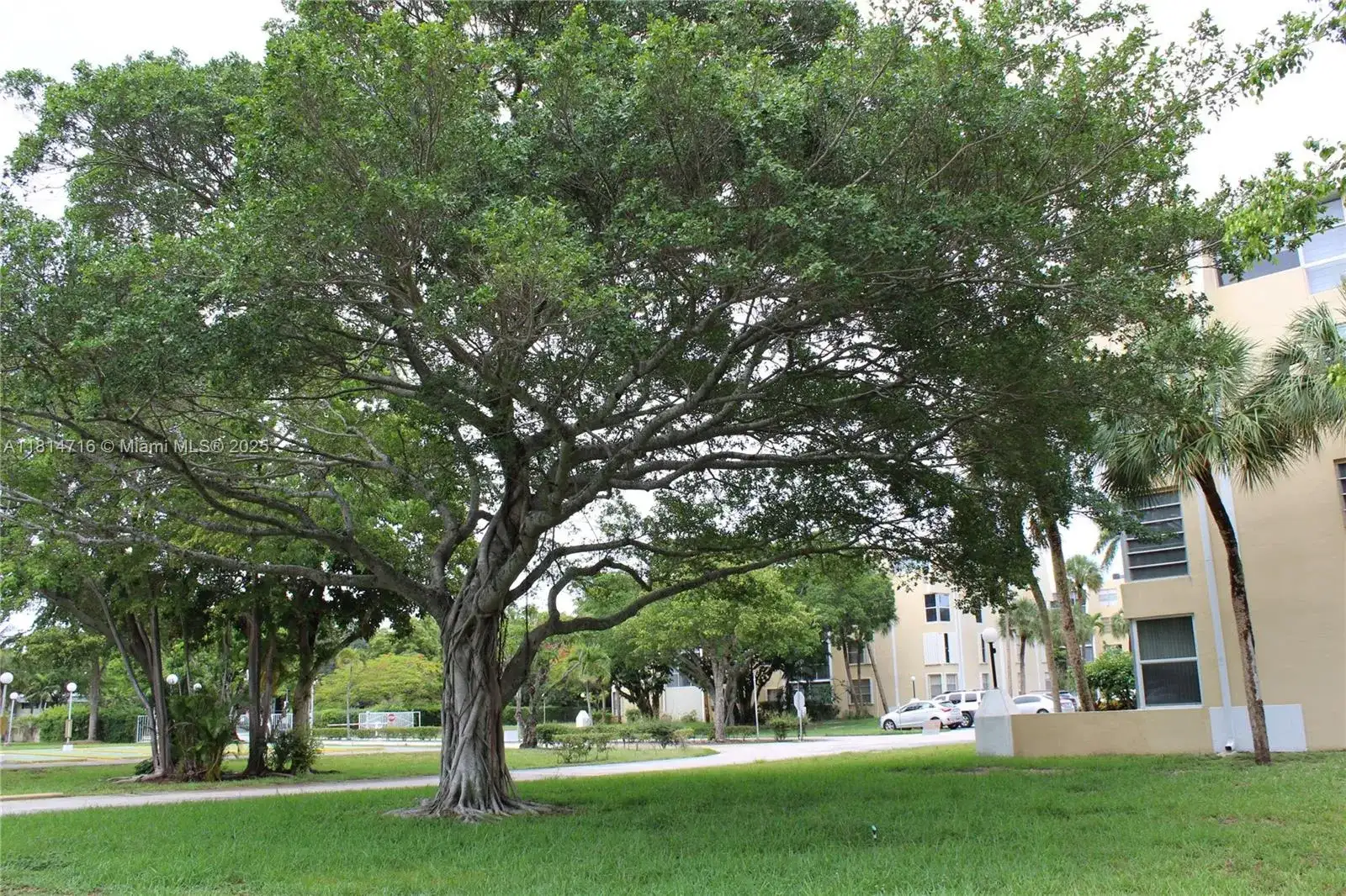 920 NE 199th St Apt 217, Miami FL 33179 photo 4