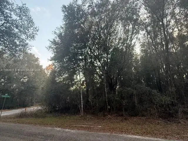 684 E Noah Ln, Citrus Springs FL 34434 photo 3