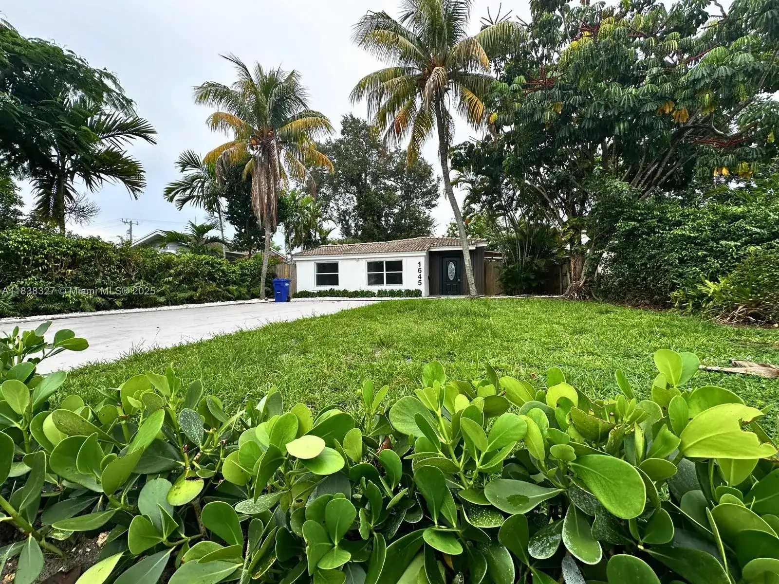 1645 NE 175th St, North Miami Beach FL 33162 photo 5