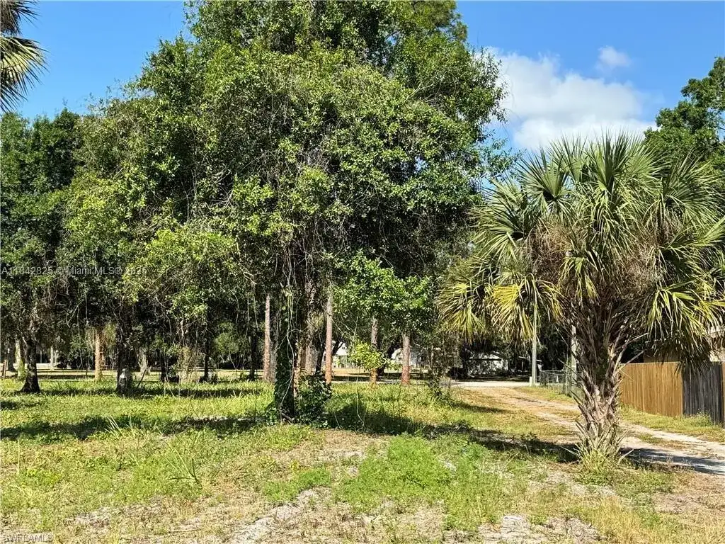 0 Magnolia Ave, La Belle FL 33935 photo 4