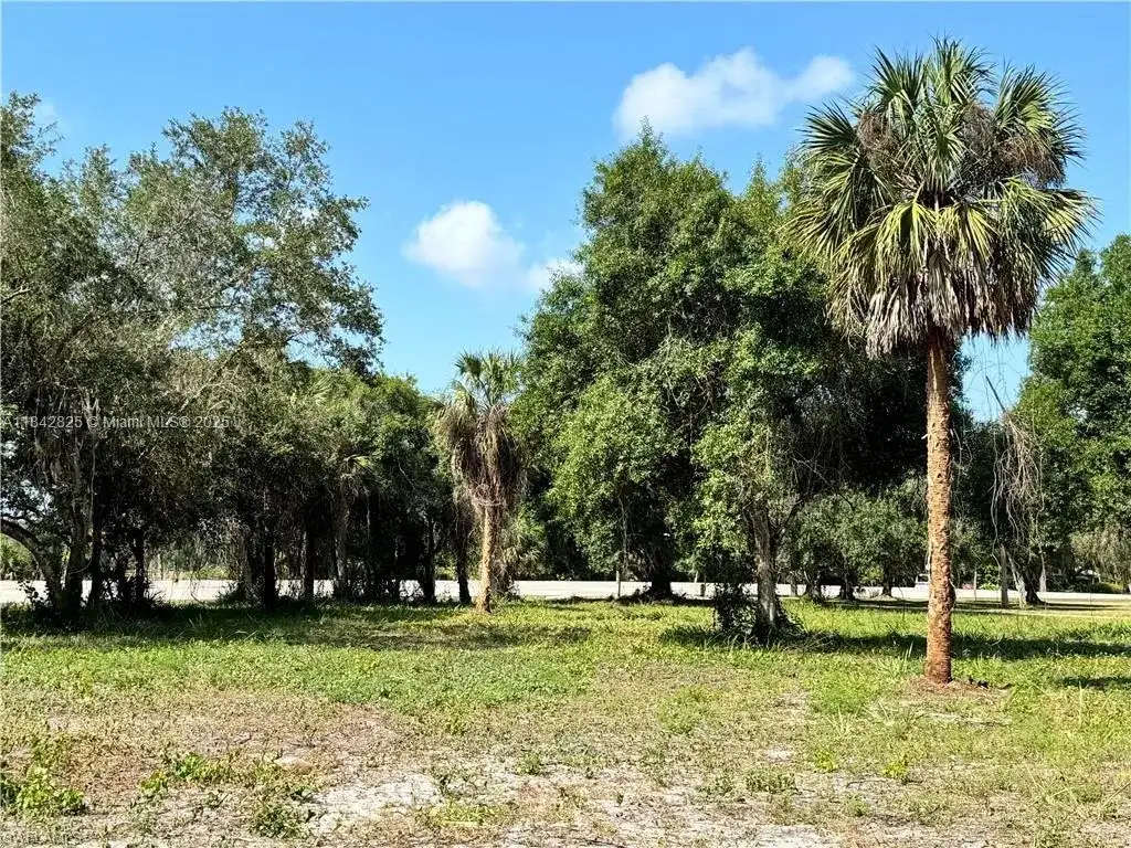0 Magnolia Ave, La Belle FL 33935 photo 5