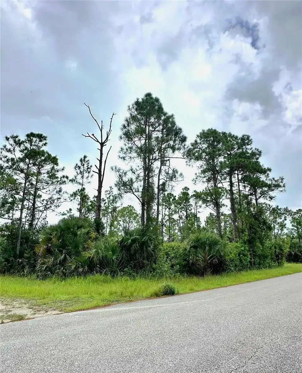 1247 Rake ST E, Lehigh Acres FL 33974 photo 2