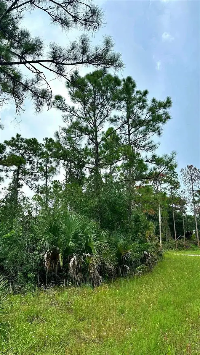1247 Rake ST E, Lehigh Acres FL 33974 photo 3