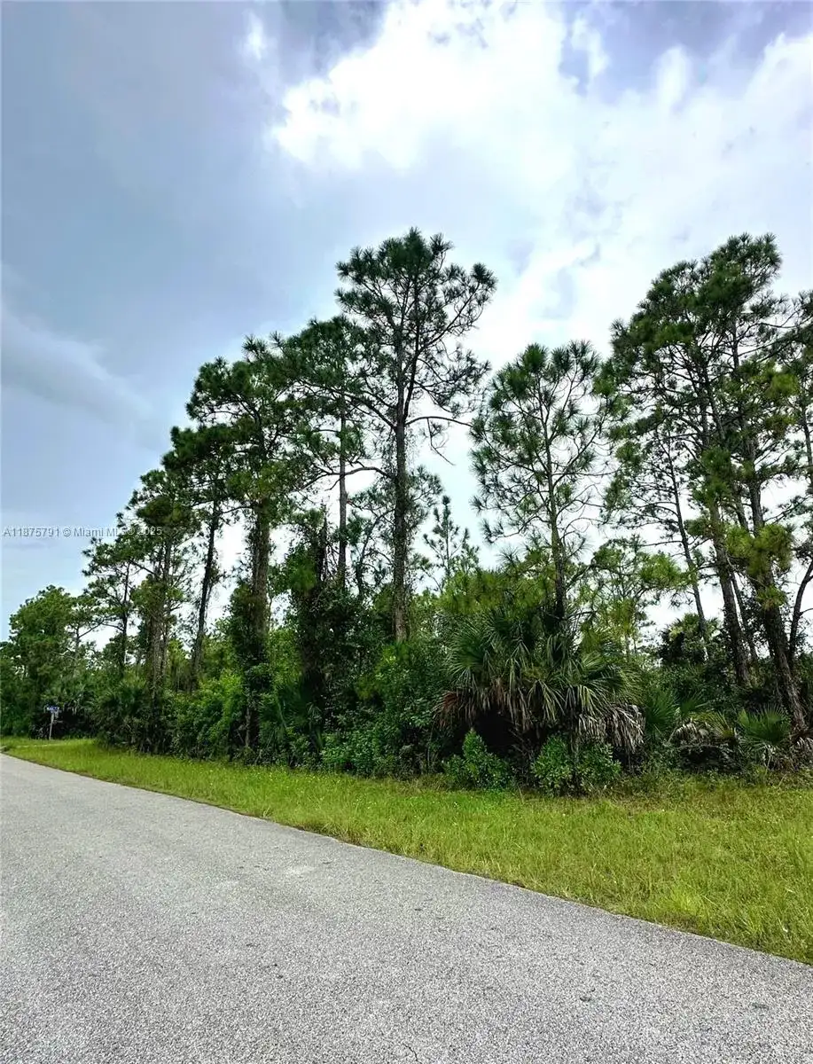 1247 Rake ST E, Lehigh Acres FL 33974 photo 4