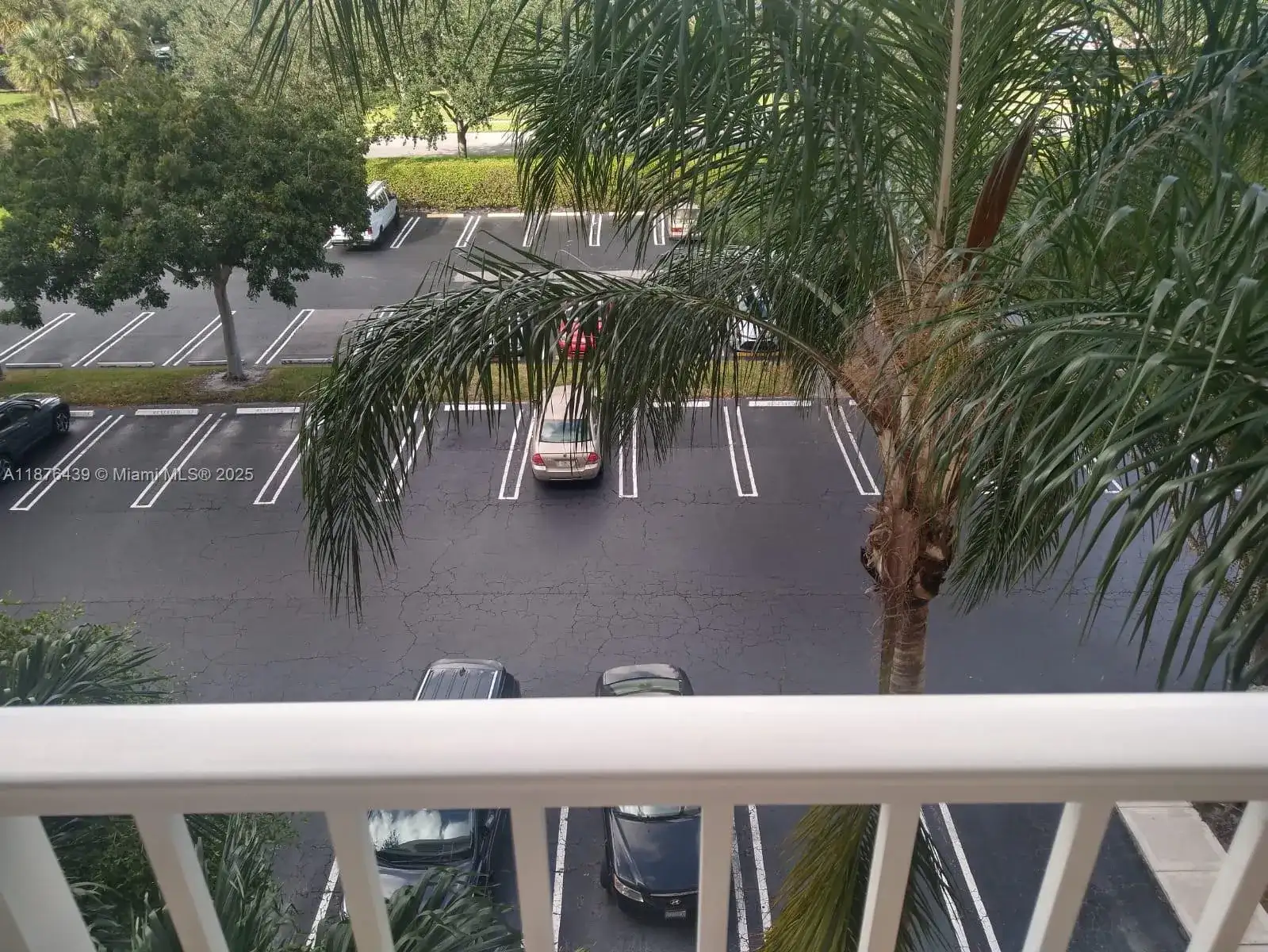 3510 Oaks Way # 509, Pompano Beach FL 33069 photo 4