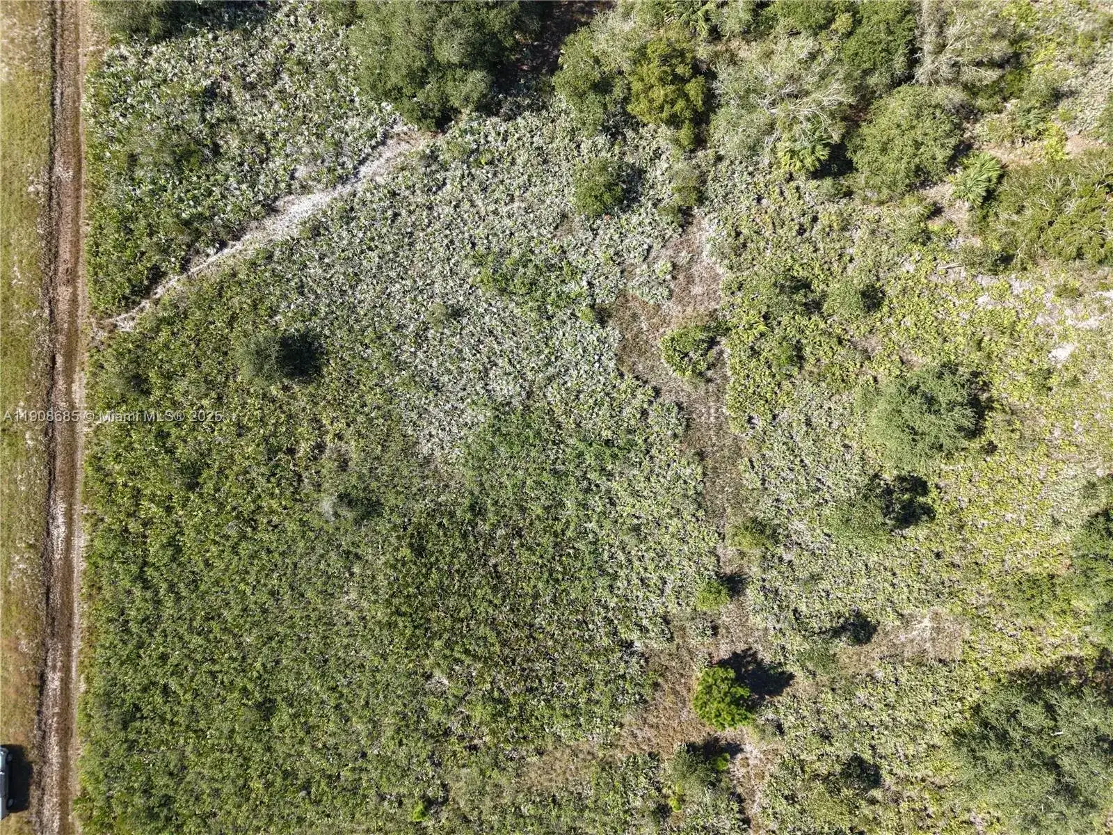 15527 NW 252ND, Okeechobee FL 34972 photo 3