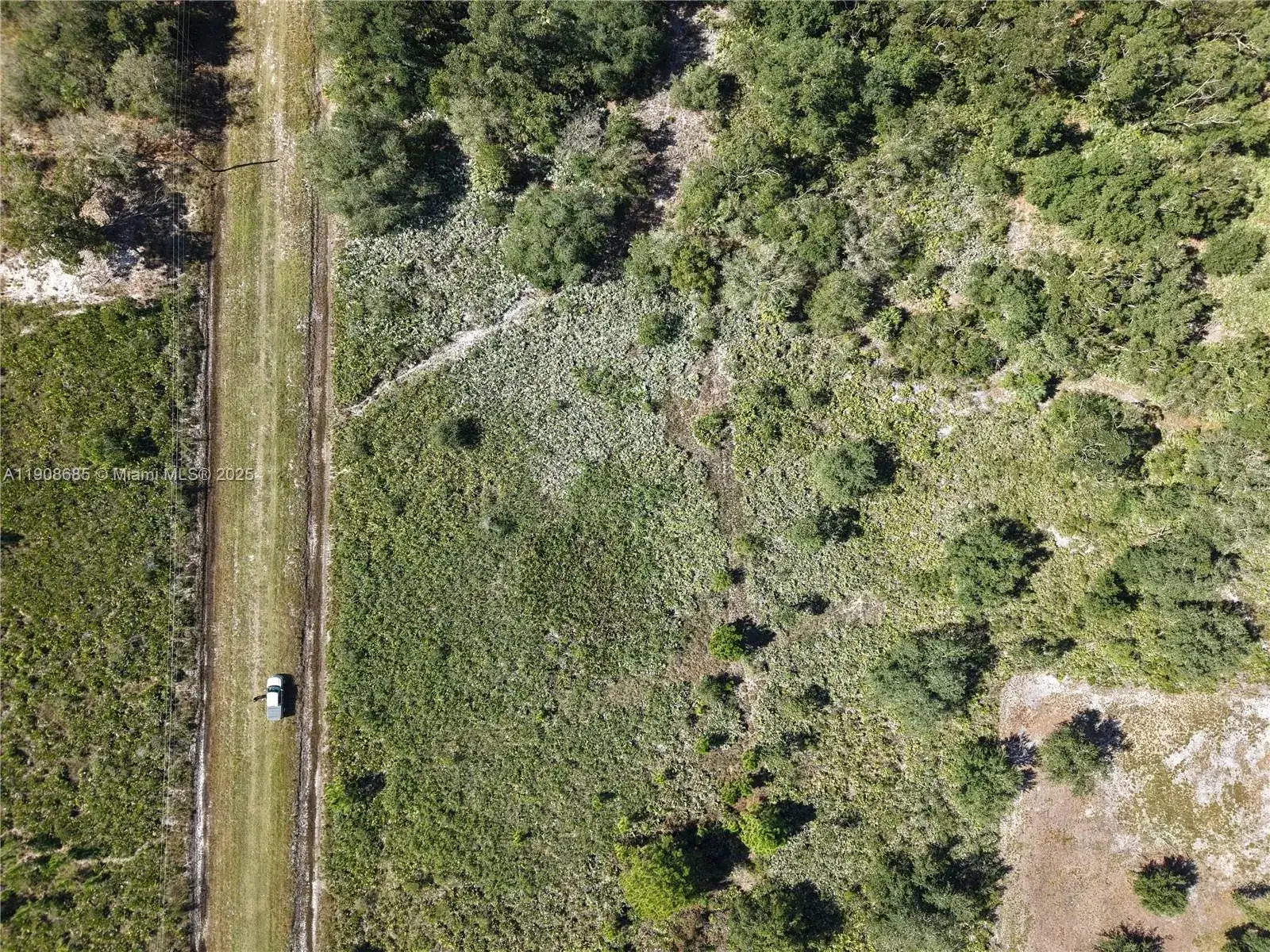 15527 NW 252ND, Okeechobee FL 34972 photo 4
