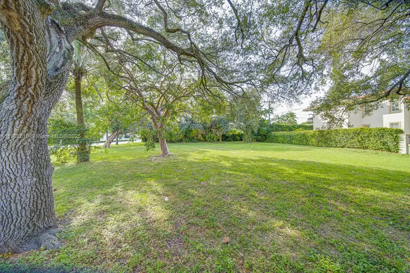 Fluvia & Le Jeune, Coral Gables FL 33134 photo 2