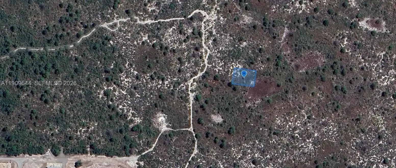 431 Lucille Lane, Lake Placid FL 33852 photo 4