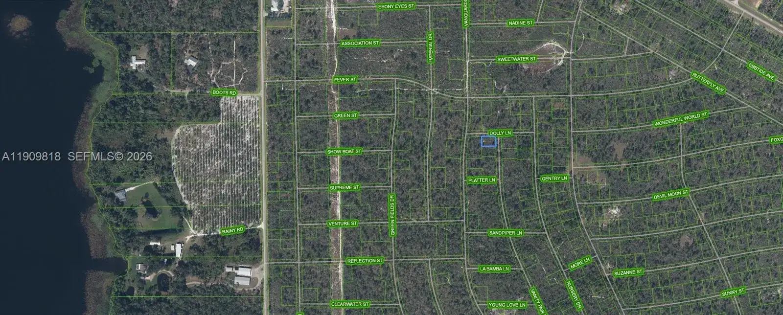 305 Dolly Lane, Lake Placid FL 33852 photo 2