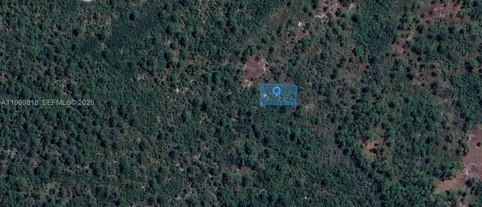 305 Dolly Lane, Lake Placid FL 33852 photo 4