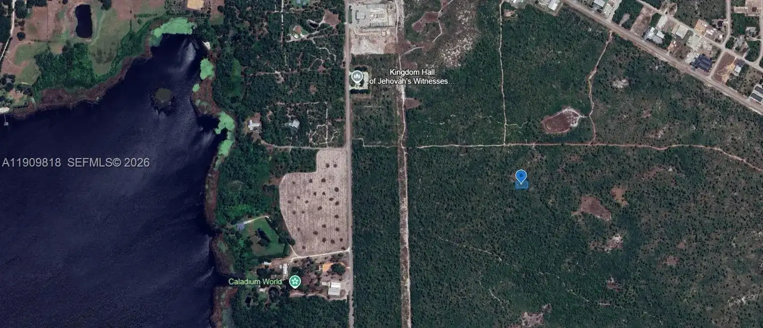 305 Dolly Lane, Lake Placid FL 33852 photo 5