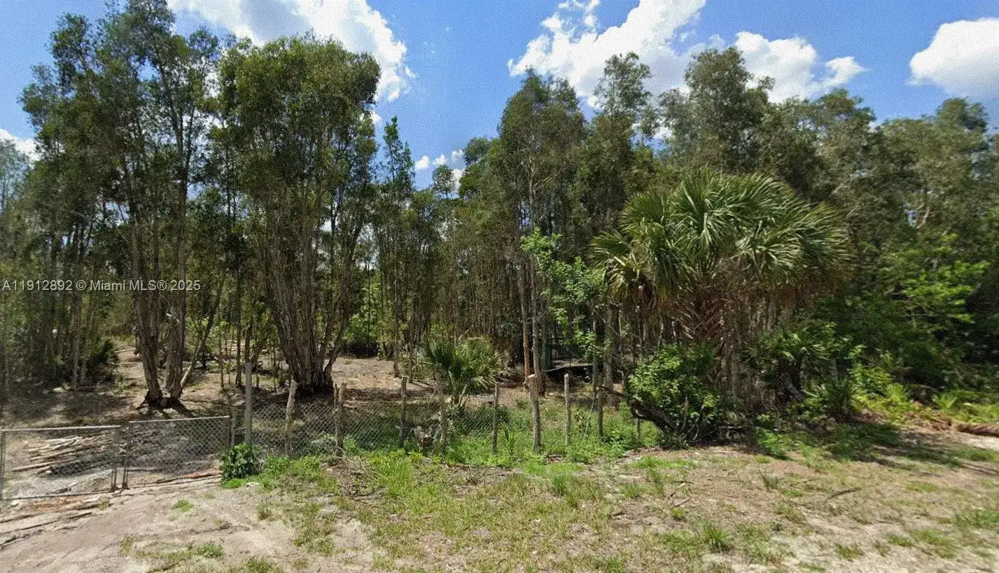 1015 Legion Ave, Lehigh Acres FL 33974 photo 2