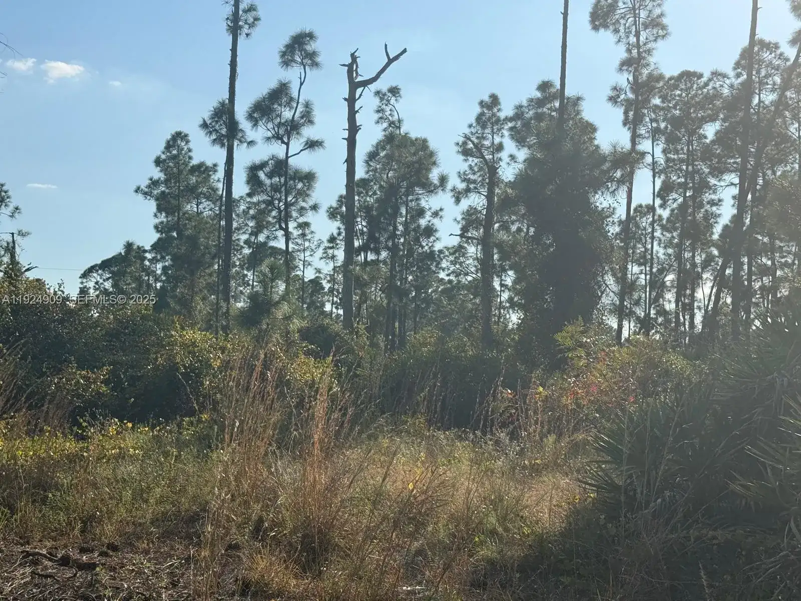 1088/1090 Ainsworth ST E, Lehigh Acres FL 33974 photo 3