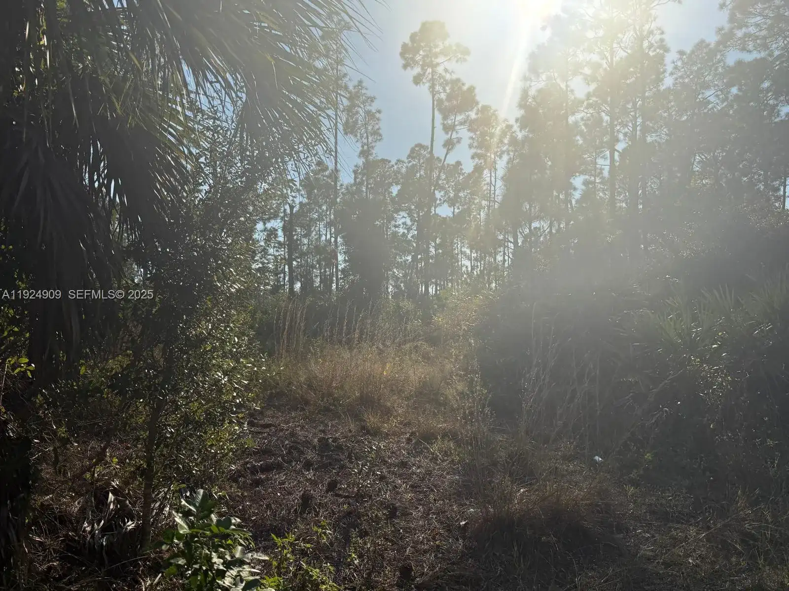 1088/1090 Ainsworth ST E, Lehigh Acres FL 33974 photo 4