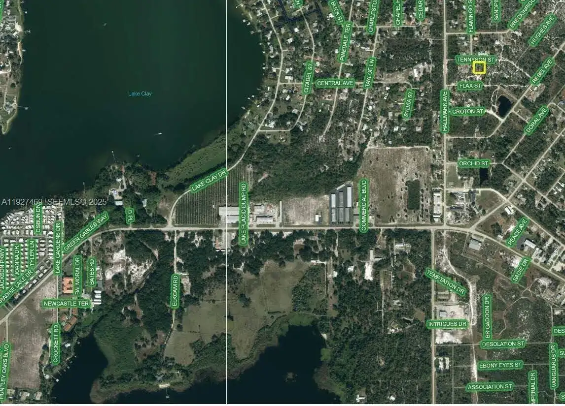 1013 Tennyson st., Lake Placid FL 33852 photo 3