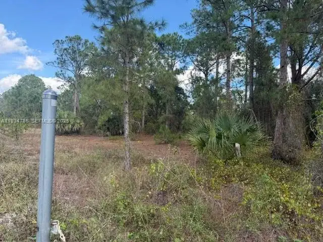 345 N ISORA, Clewiston FL 33440 photo 4