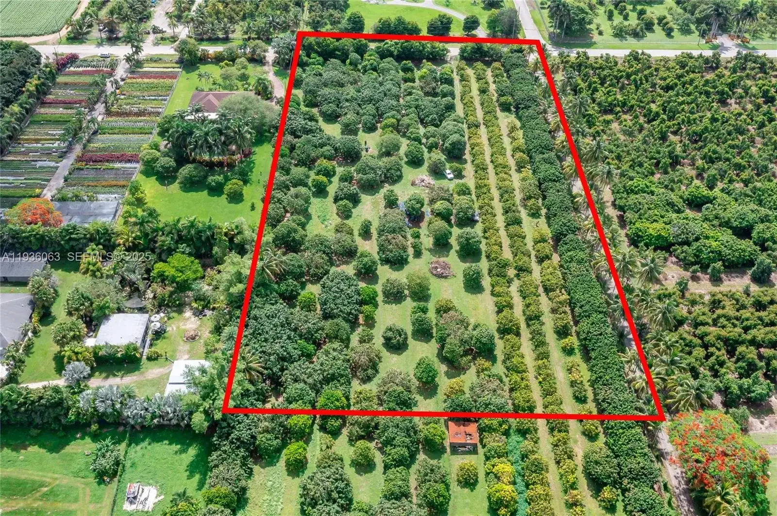 24350 SW 182nd Ave, Miami FL 33031 photo 5