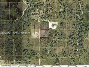 318th NW Street, Okeechobee FL 34972 photo 5