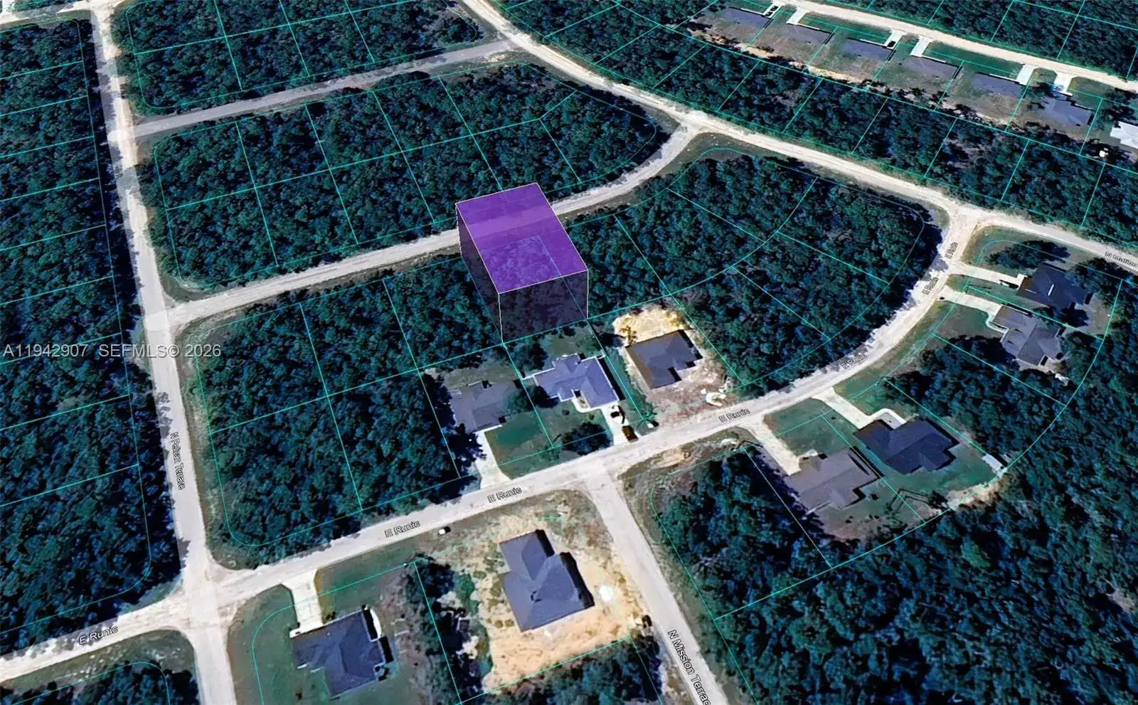 165 E Simms Lane, Citrus Springs FL 34434 photo 2