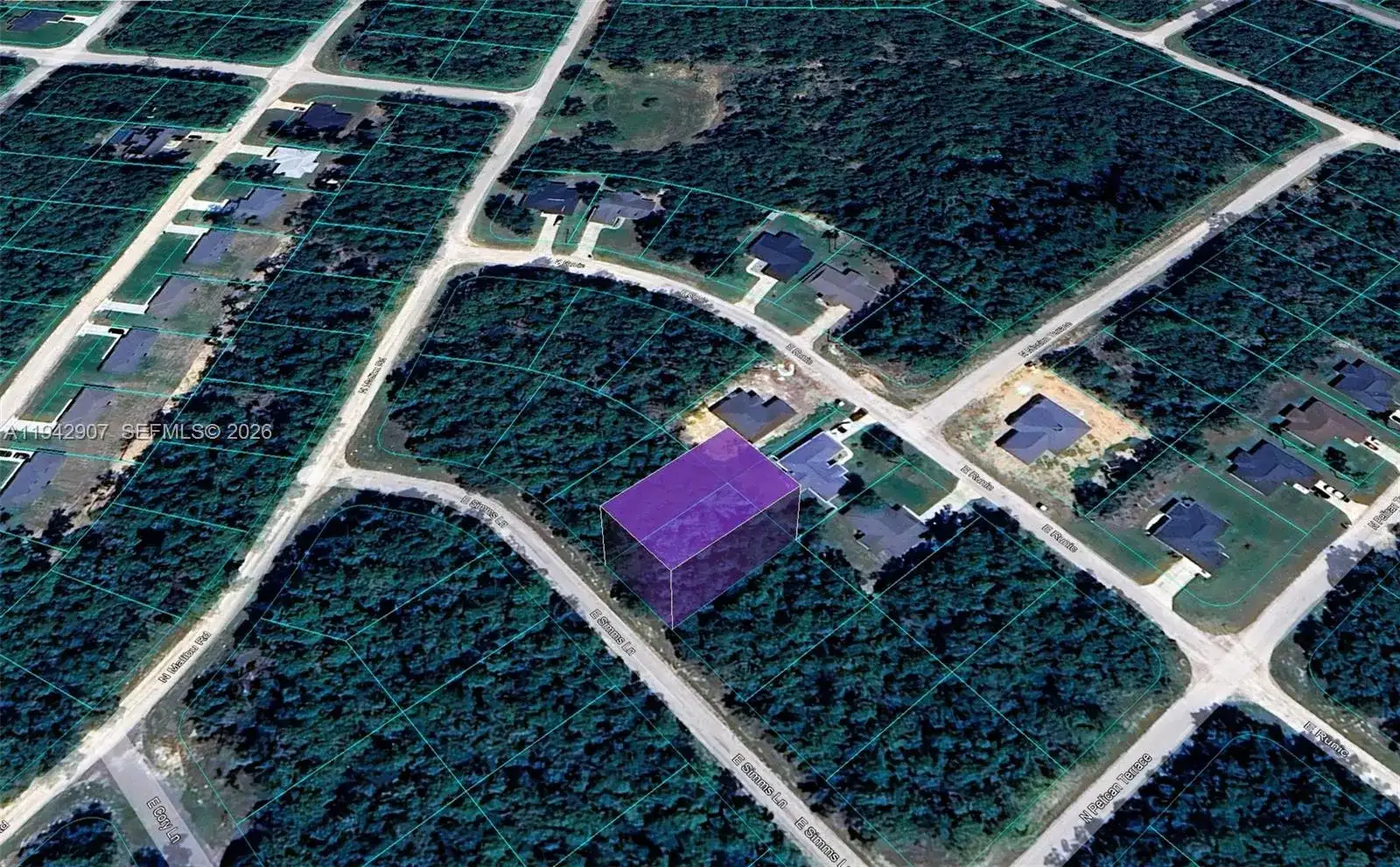 165 E Simms Lane, Citrus Springs FL 34434 photo 3
