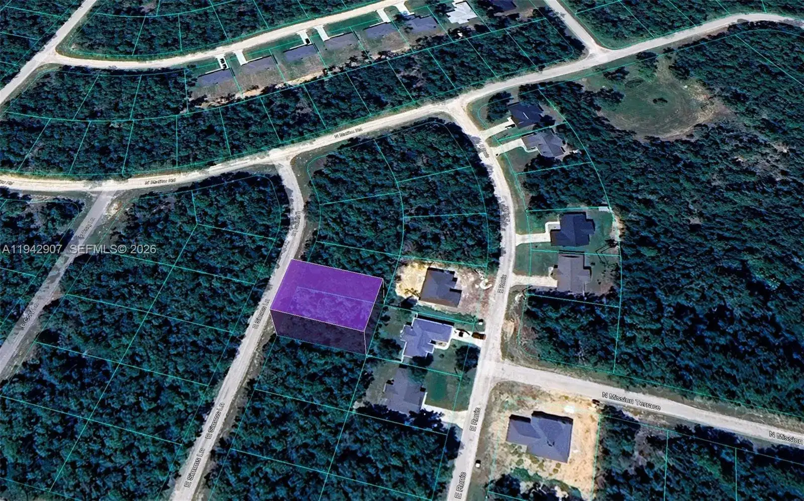 165 E Simms Lane, Citrus Springs FL 34434 photo 4