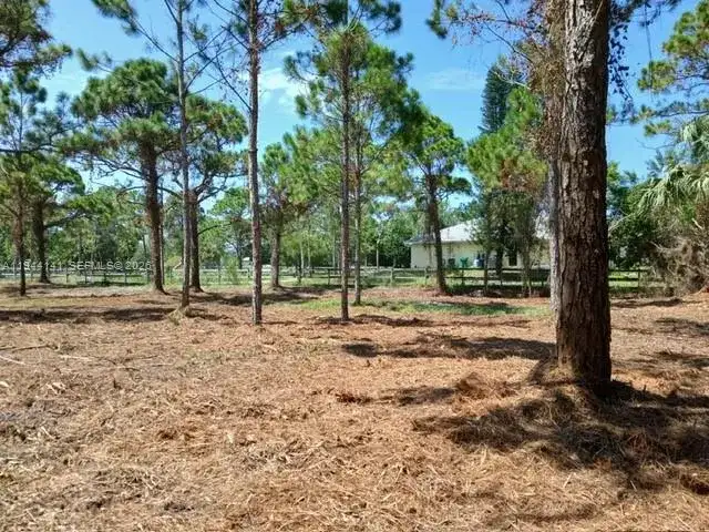0000 BOBCAT RUN, Port St. Lucie FL 34952 photo 2
