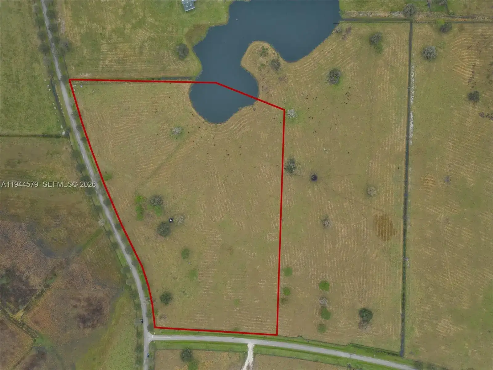 25750 SW Jockeys Run, Okeechobee FL 34974 photo 5