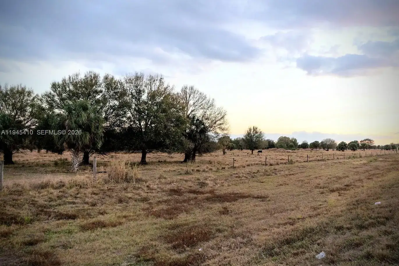 2549 W State Road 80, La Belle FL 33935 photo 5