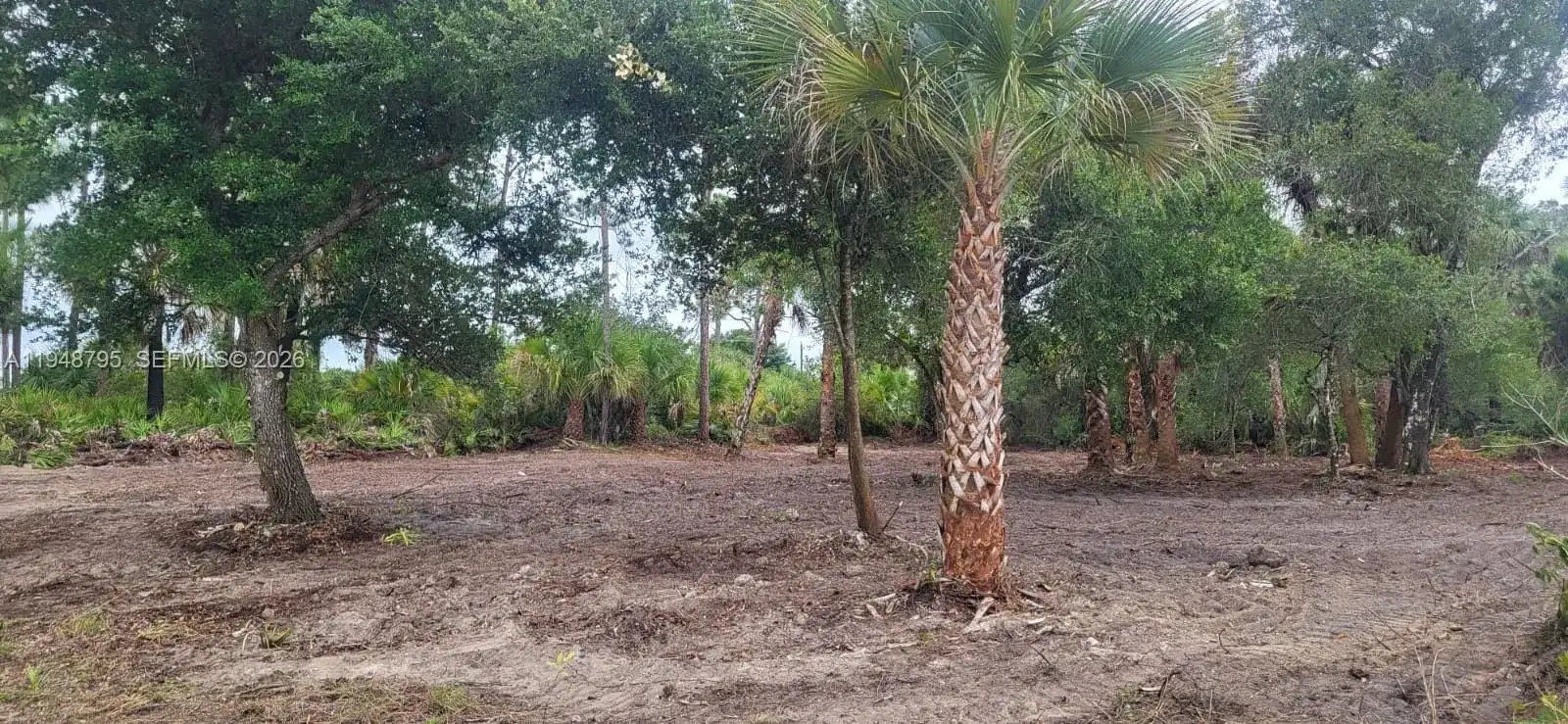 315 Ivanhoe Ave, La Belle FL 33935 photo 2