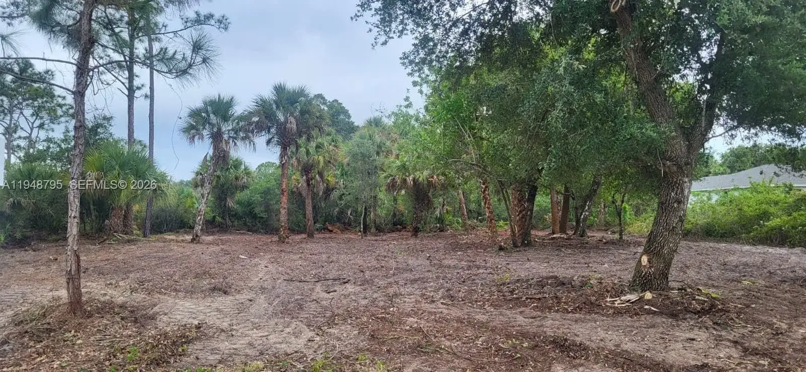 315 Ivanhoe Ave, La Belle FL 33935 photo 3