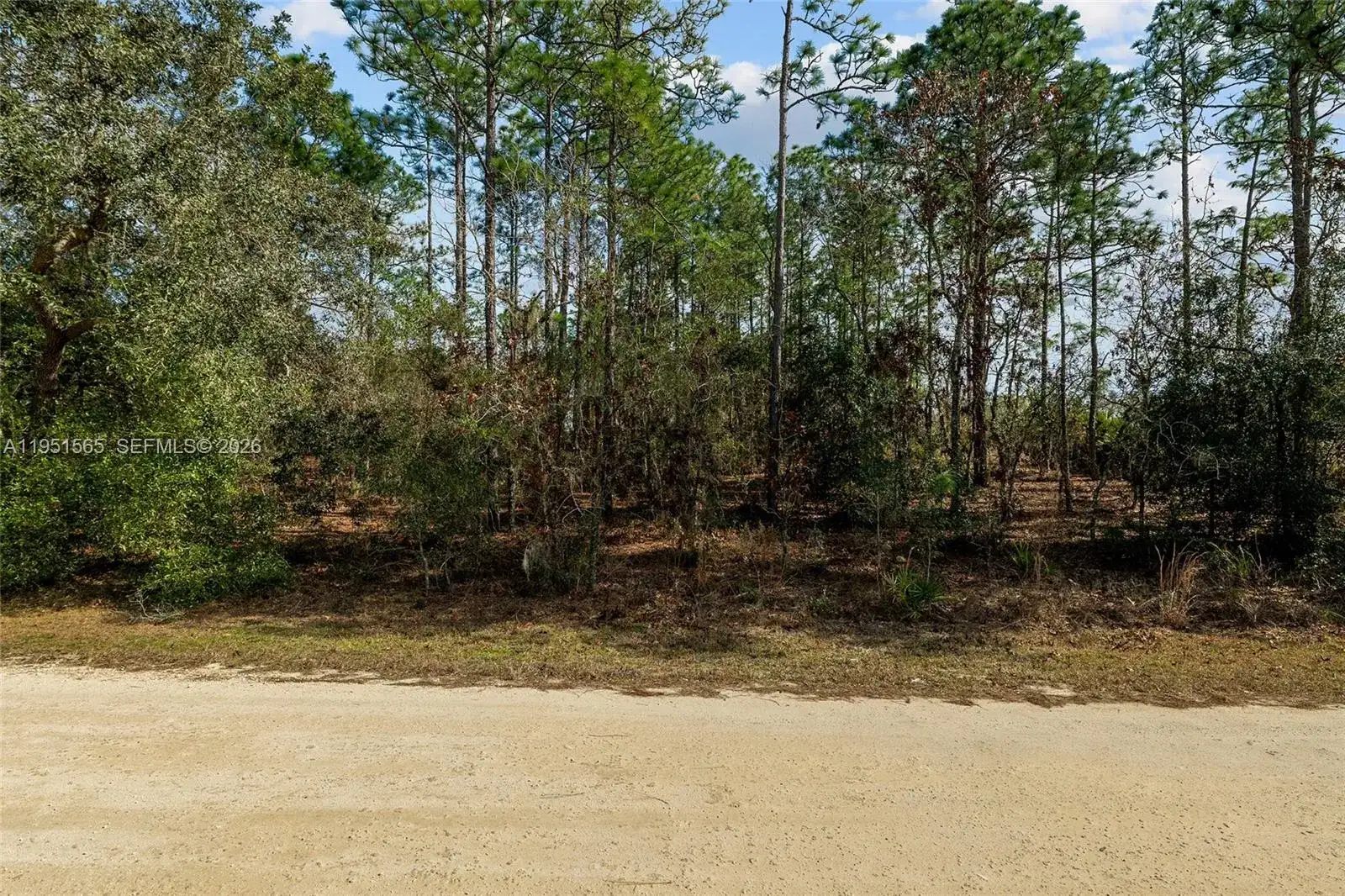 TBD SW 128th Terrace Road, Ocala FL 34481 photo 4
