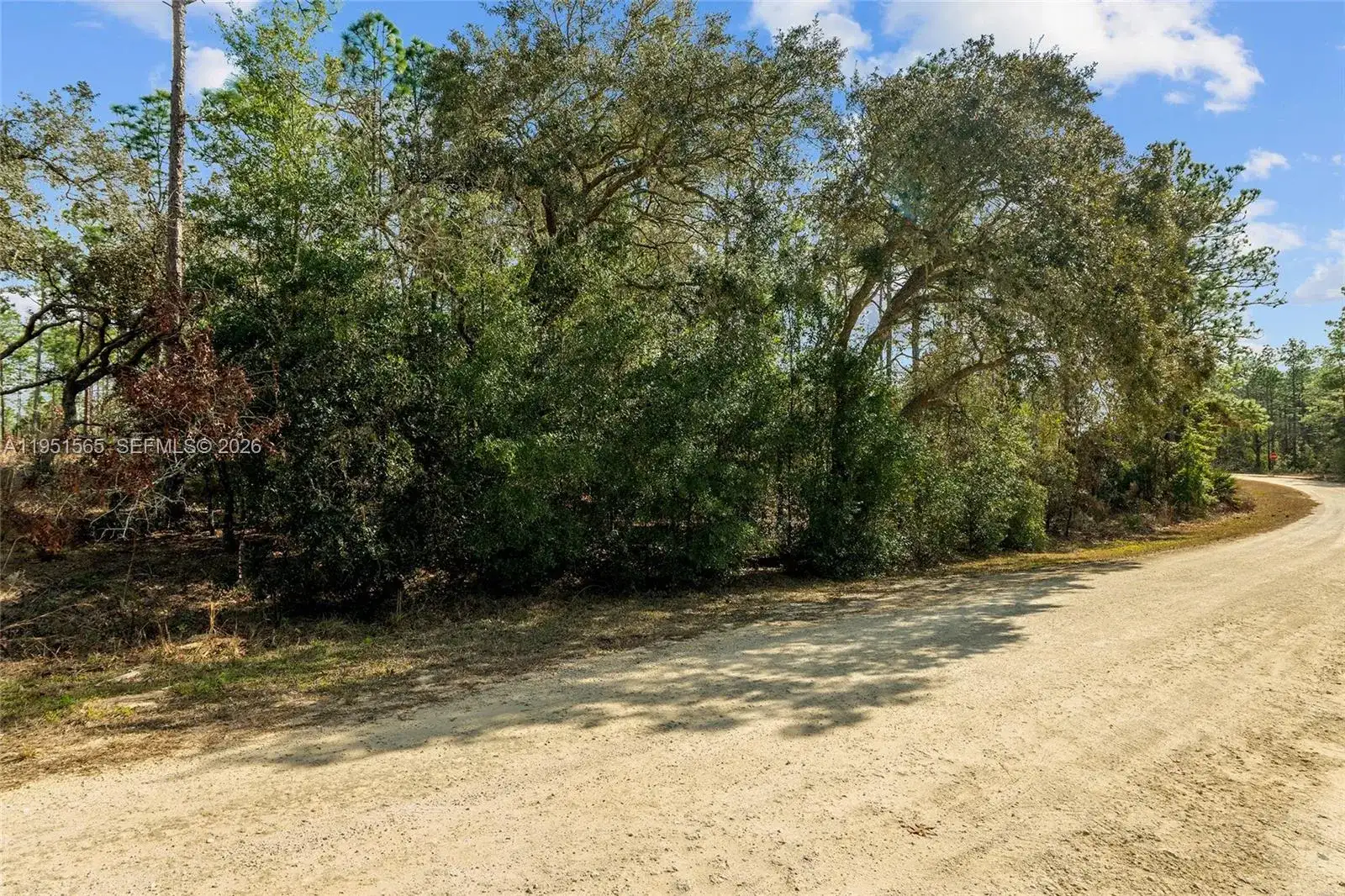 TBD SW 128th Terrace Road, Ocala FL 34481 photo 5