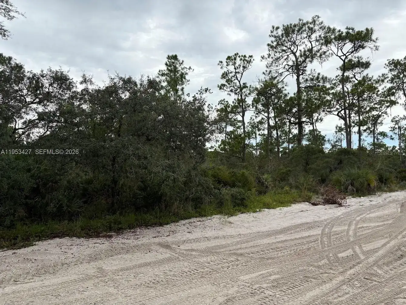 5932 CANOPY RD, Sebring FL 33875 photo 2