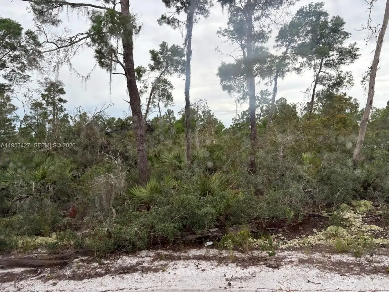 5932 CANOPY RD, Sebring FL 33875 photo 4