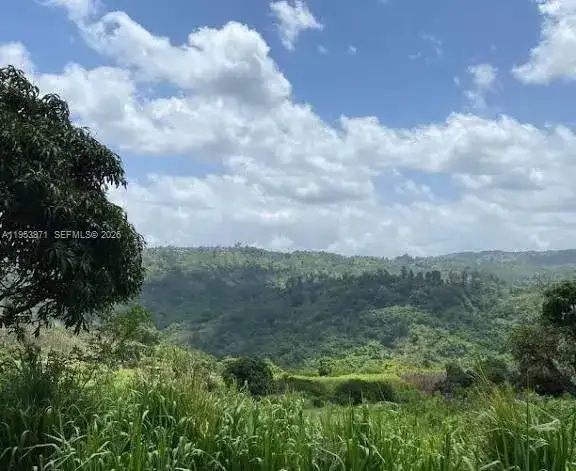1 Colleyville, Manchester, Jamaica, FL photo 2