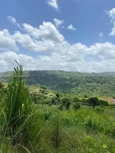 1 Colleyville, Manchester, Jamaica, FL photo 3
