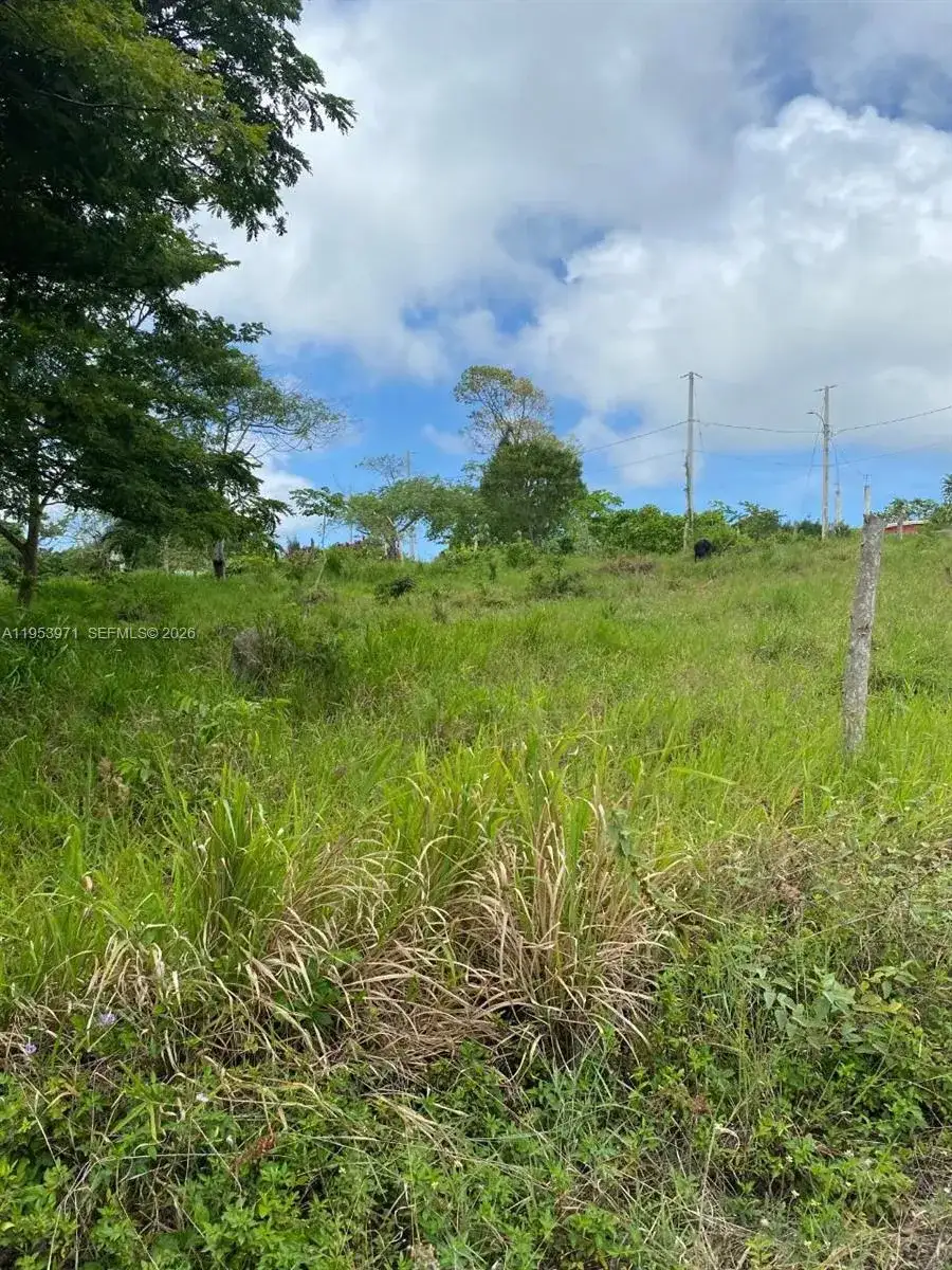 1 Colleyville, Manchester, Jamaica, FL photo 4