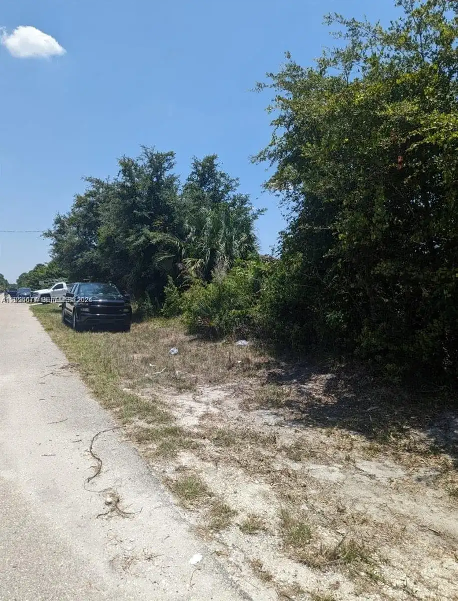 3215 52nd St W, Lehigh Acres FL 33971 photo 5