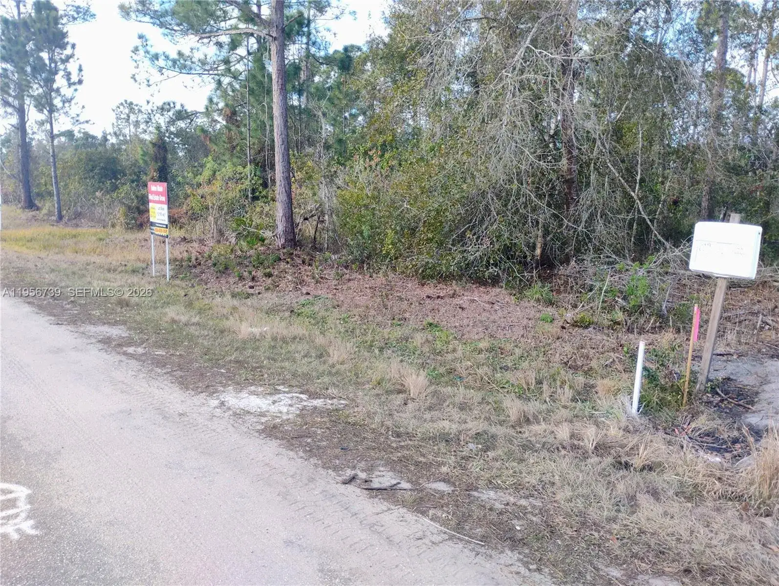 4217 Gerona, Avon Park FL 33872 photo 4