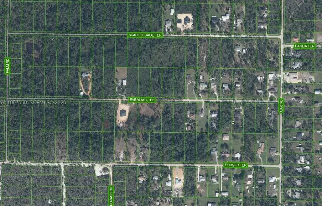 1981 SCARLET SAGE TER, Sebring FL 33875 photo 4